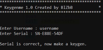 В качестве имени пользователя оставляем слово username, а в качестве серийника указываем SN-E88E-54DF, где SN это любые два символа, их все равно не проверяют.
