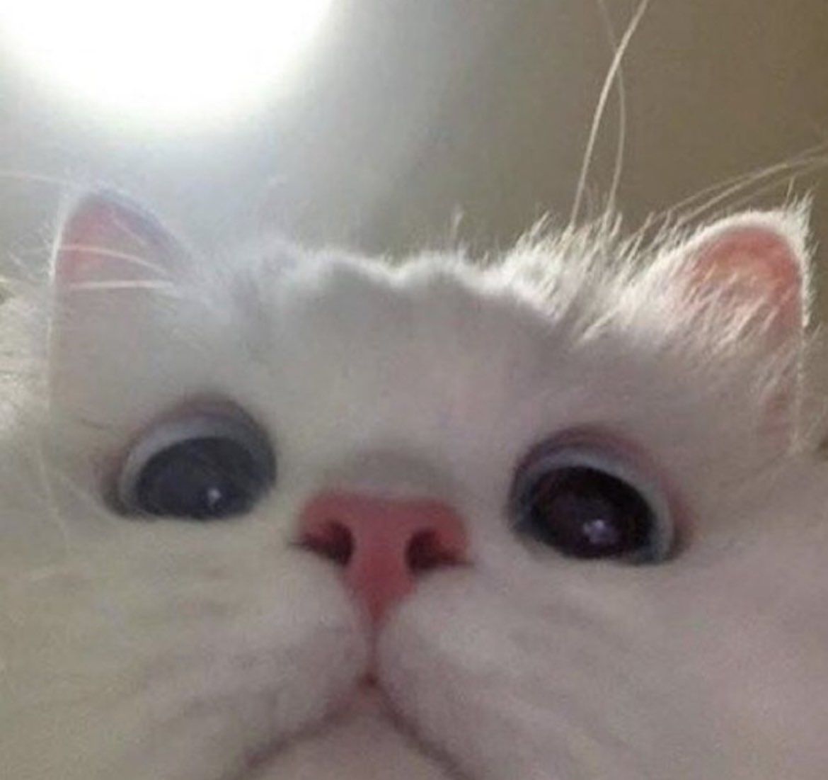 Нина