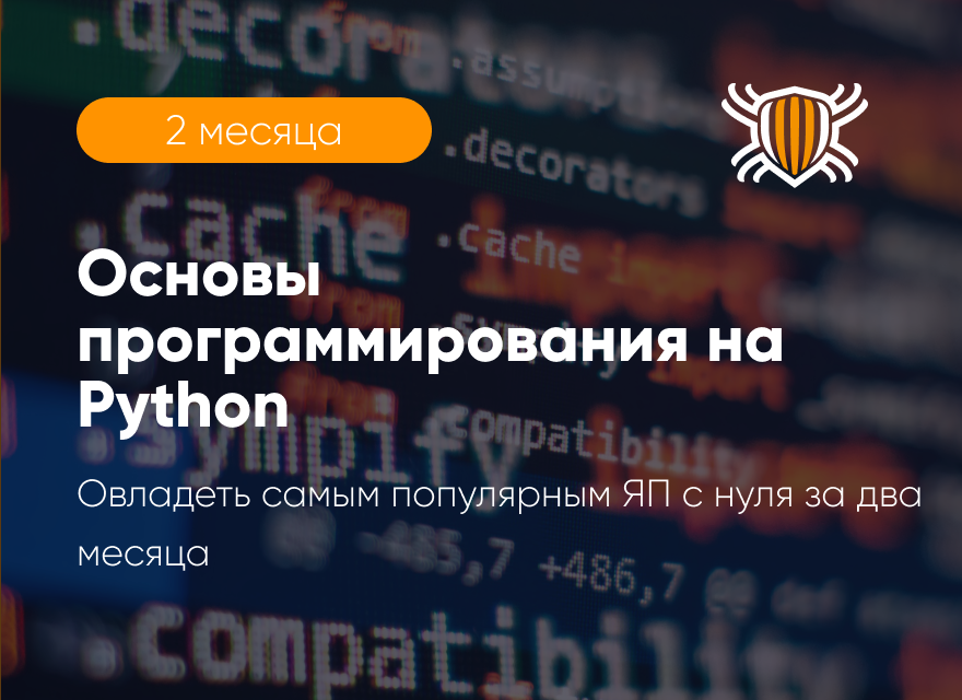 Курс «Основы Python»