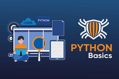 Курс «Основы Python»